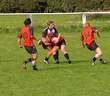 Picture 15